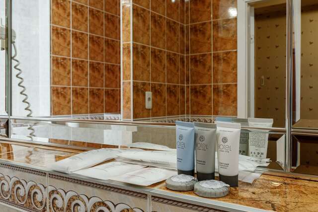 Гостиница Максима Ирбис Москва-40