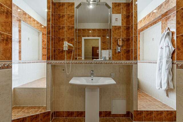 Гостиница Максима Ирбис Москва-68