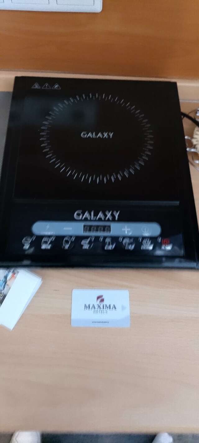 Гостиница Максима Ирбис Москва-195