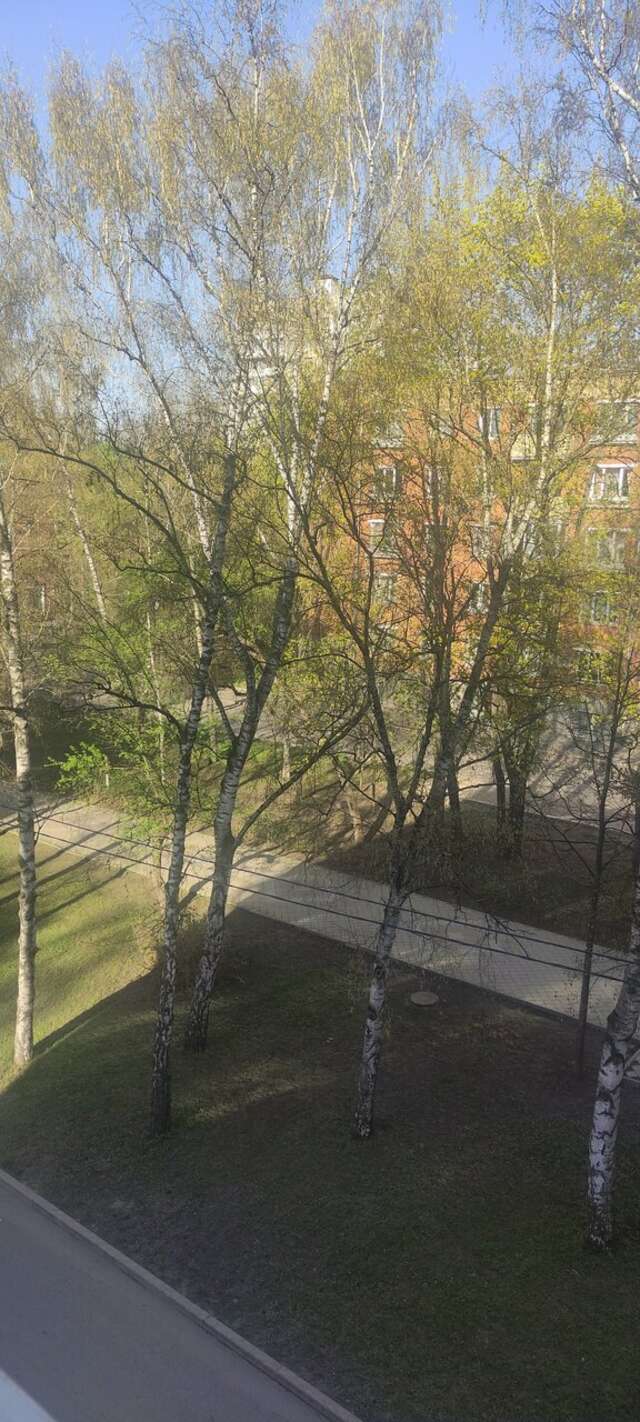 Гостиница Максима Ирбис Москва-228