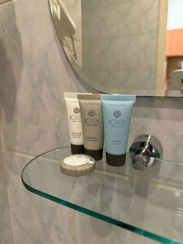 Гостиница Максима Ирбис Москва-208