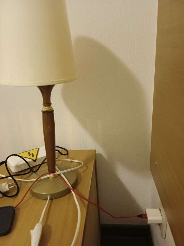 Гостиница Максима Ирбис Москва-203