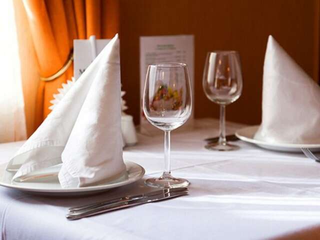 Гостиница Максима Ирбис Москва-44