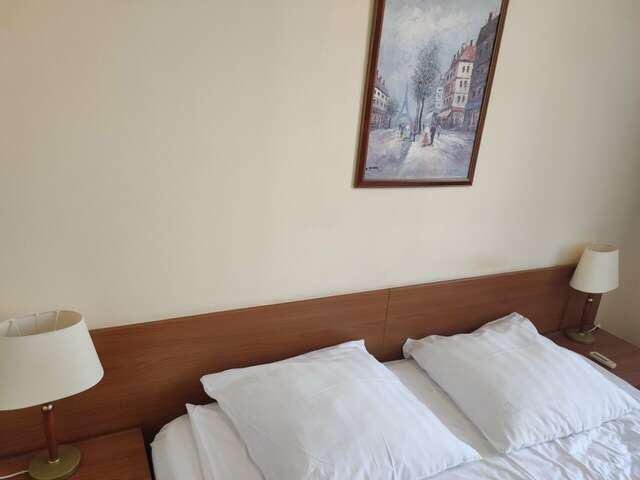 Гостиница Максима Ирбис Москва-242