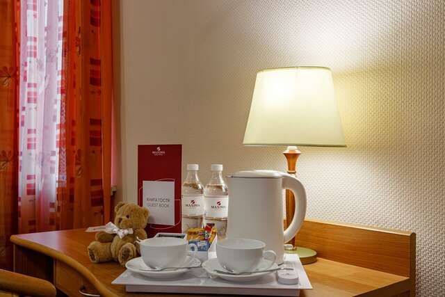 Гостиница Максима Ирбис Москва-82