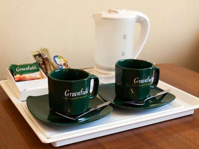 Гостиница Максима Ирбис Москва-39