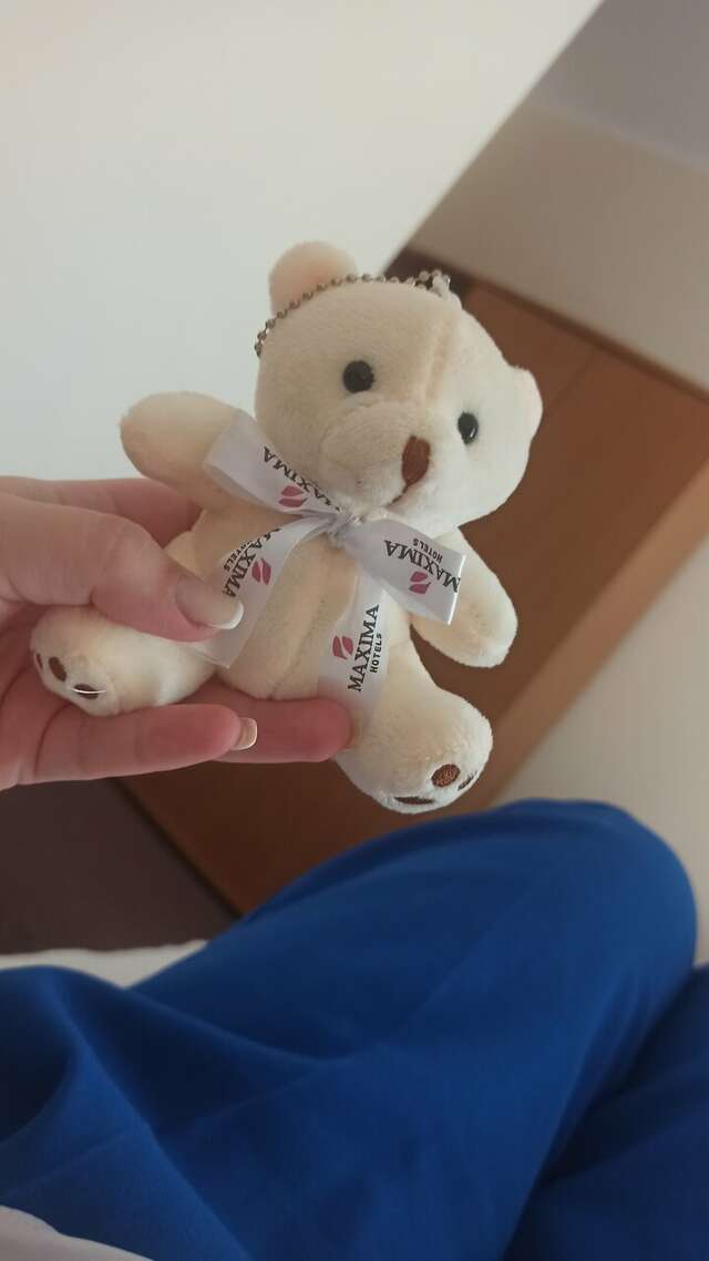 Гостиница Максима Ирбис Москва-183