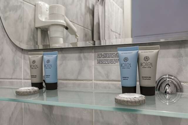 Гостиница Максима Ирбис Москва-58