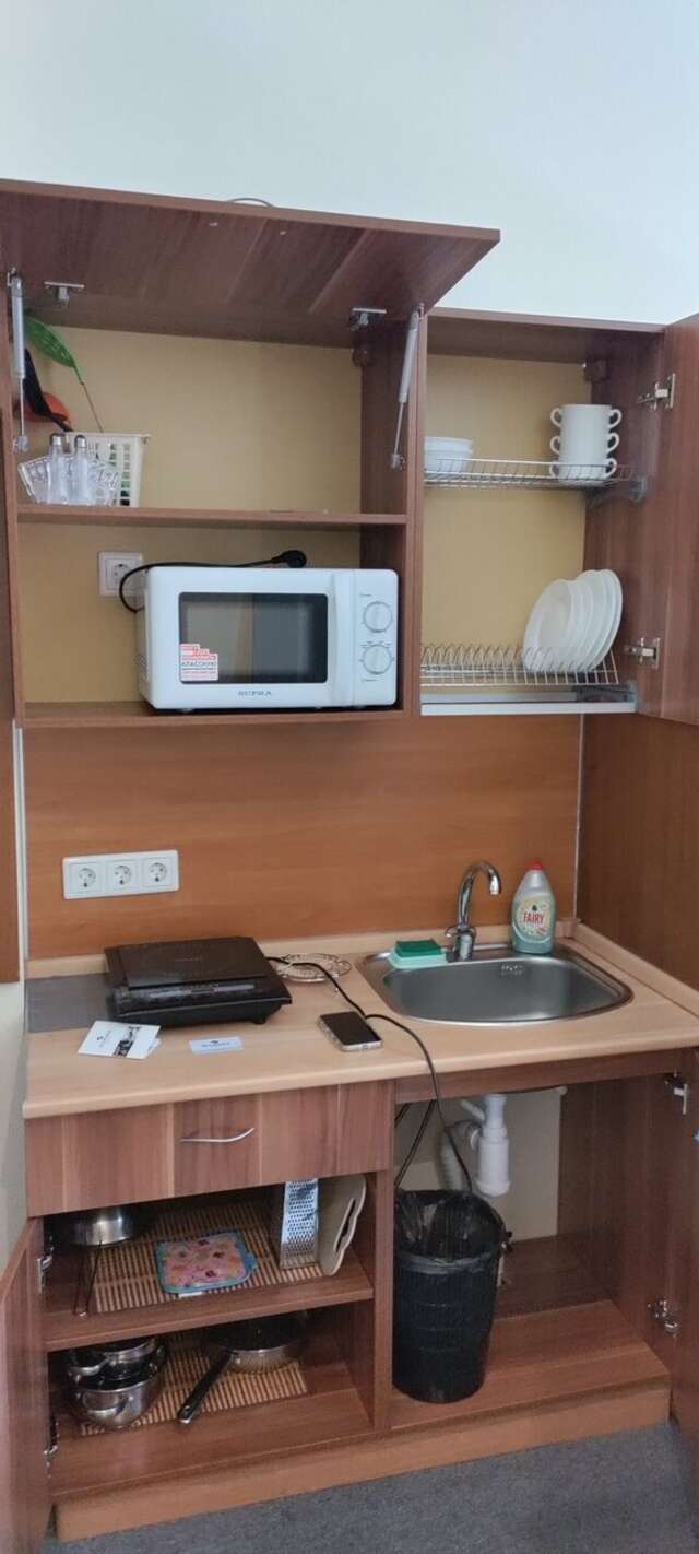 Гостиница Максима Ирбис Москва-240