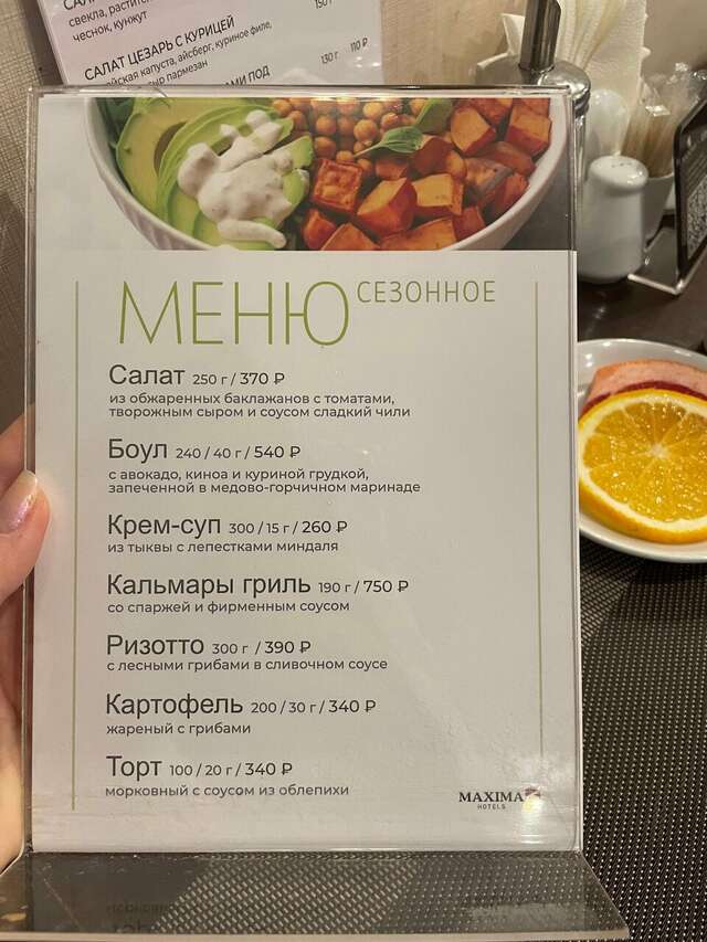 Гостиница Максима Ирбис Москва-194