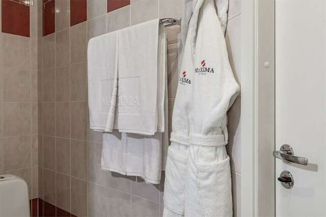 Гостиница Максима Ирбис Москва-47