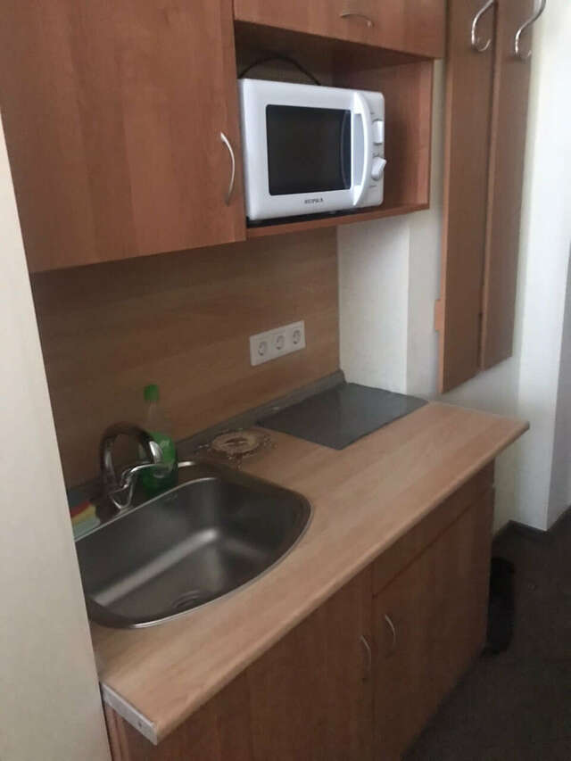 Гостиница Максима Ирбис Москва-248